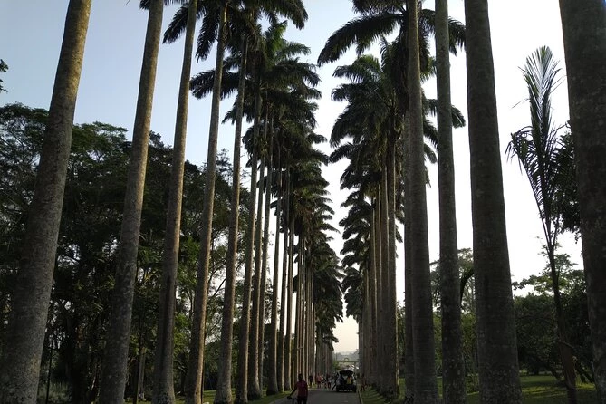 Aburi Botanical Gardens